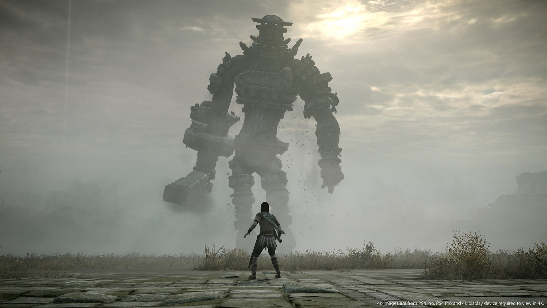 Shadow Of The Colossus Remaster