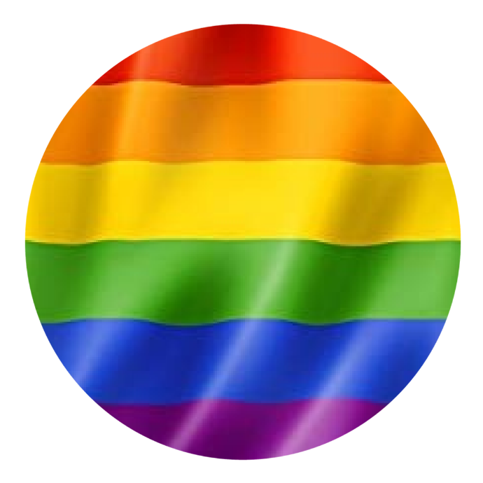 Pride Flag Popgrip