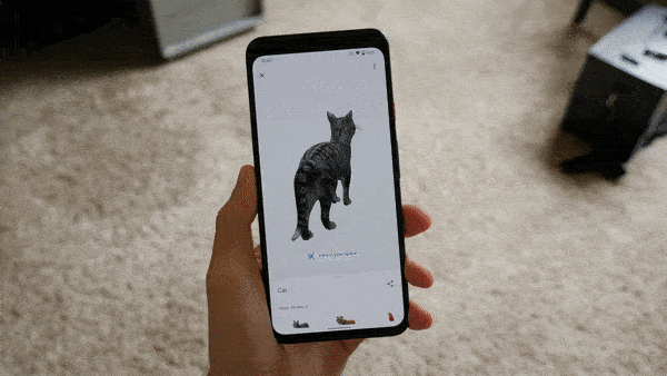 Google Search 3D AR View