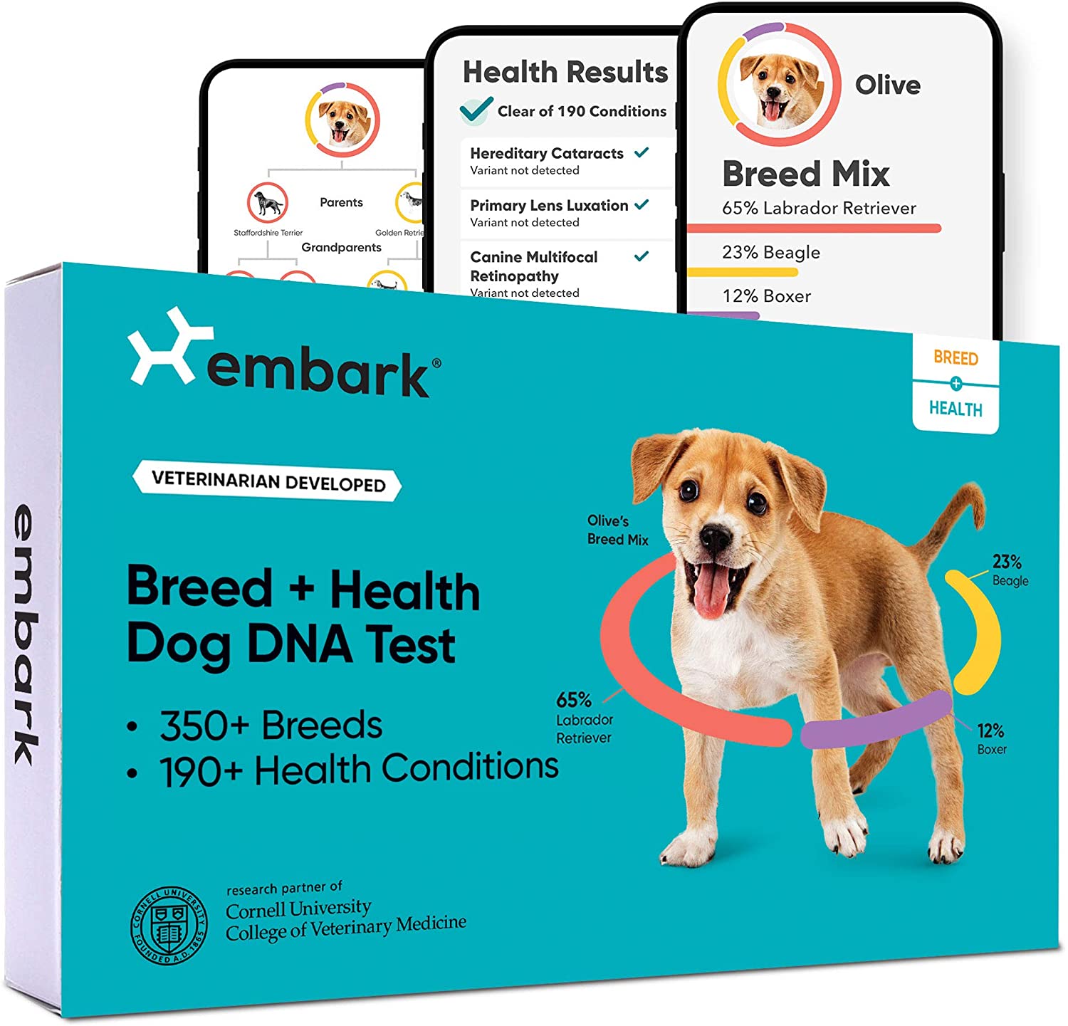 Embark Breed Health Dog Dna Test