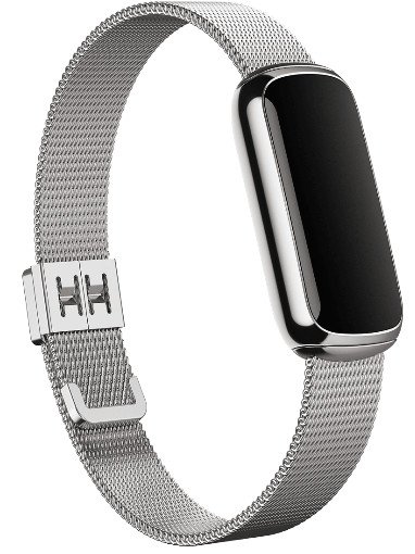 Fitbit Luxe stainless Steel Mesh Band 