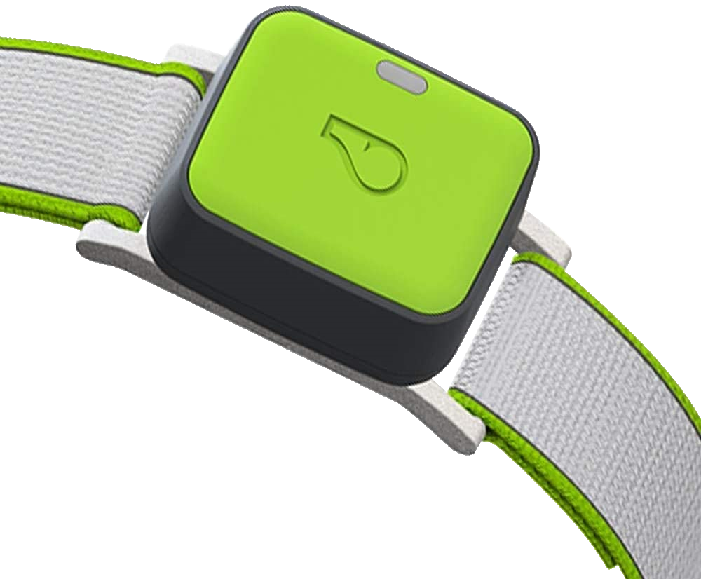 Whistle Go Explorar Gps Health Fitness Smart Collar Reco
