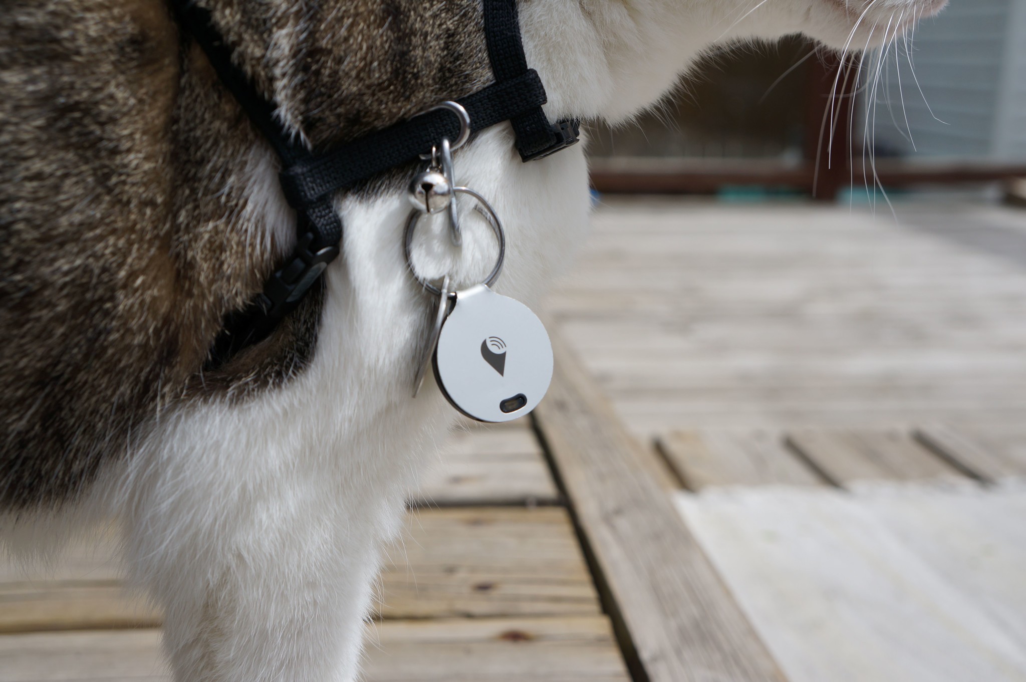 Tracking your pet with TrackR creates a false sense of security