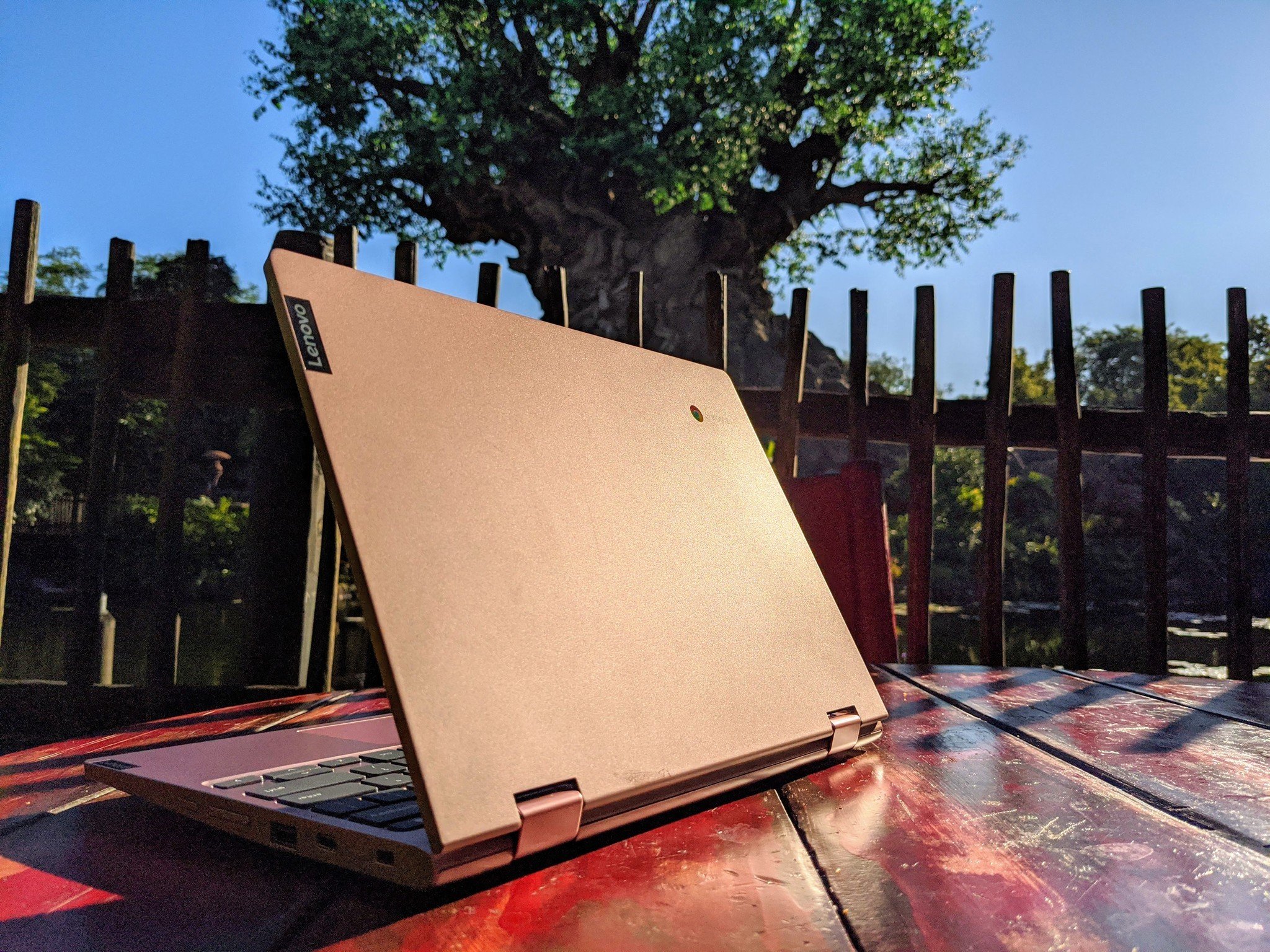 Ulasan Lenovo Chromebook C340 (11.6 "): Laptop cantik ini praktis sempurna untuk harganya 1