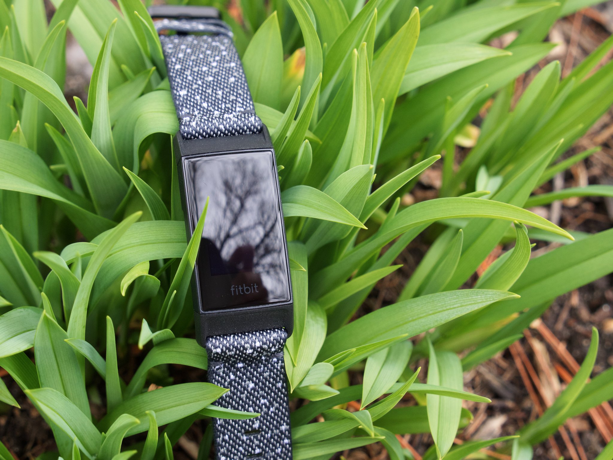 مراجعة Fitbit Charge 4: أفضل جهاز تعقب للياقة البدنية أصبح أفضل 124