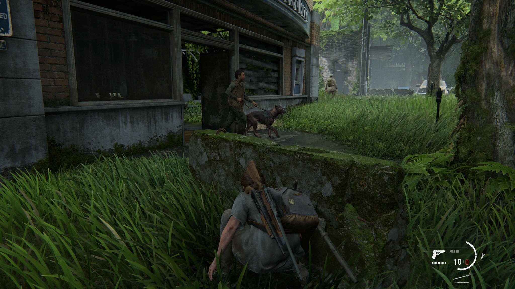 The Last Of Us Part Ii Enemy Dog