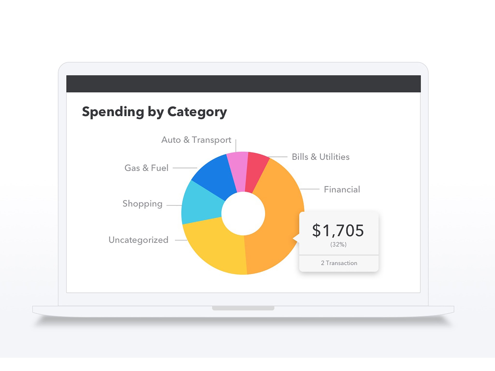 Mint App Manage Budget