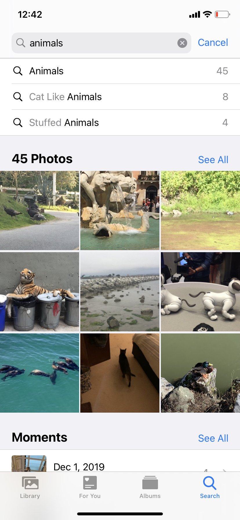 Apple Photos AI Search