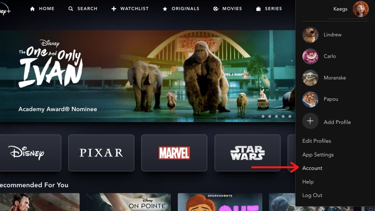 Can you share a Disney Plus login? Android Central