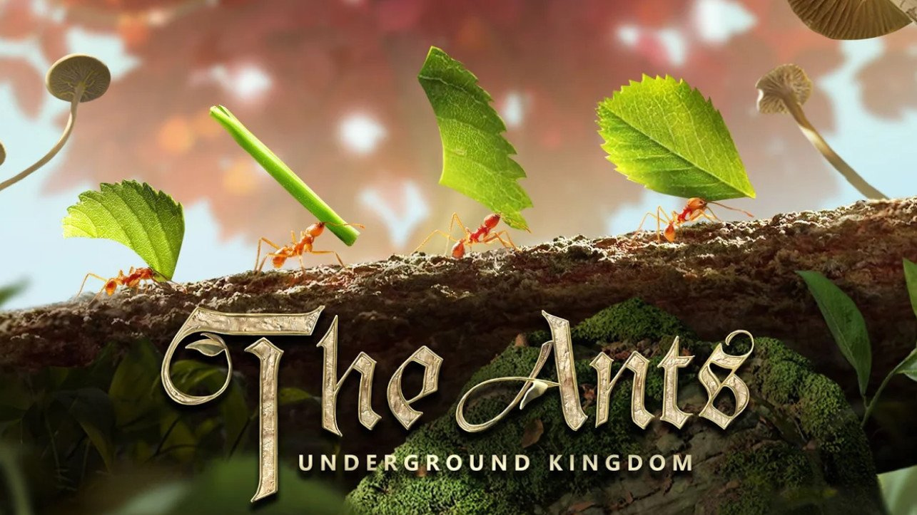 The Ants Hero