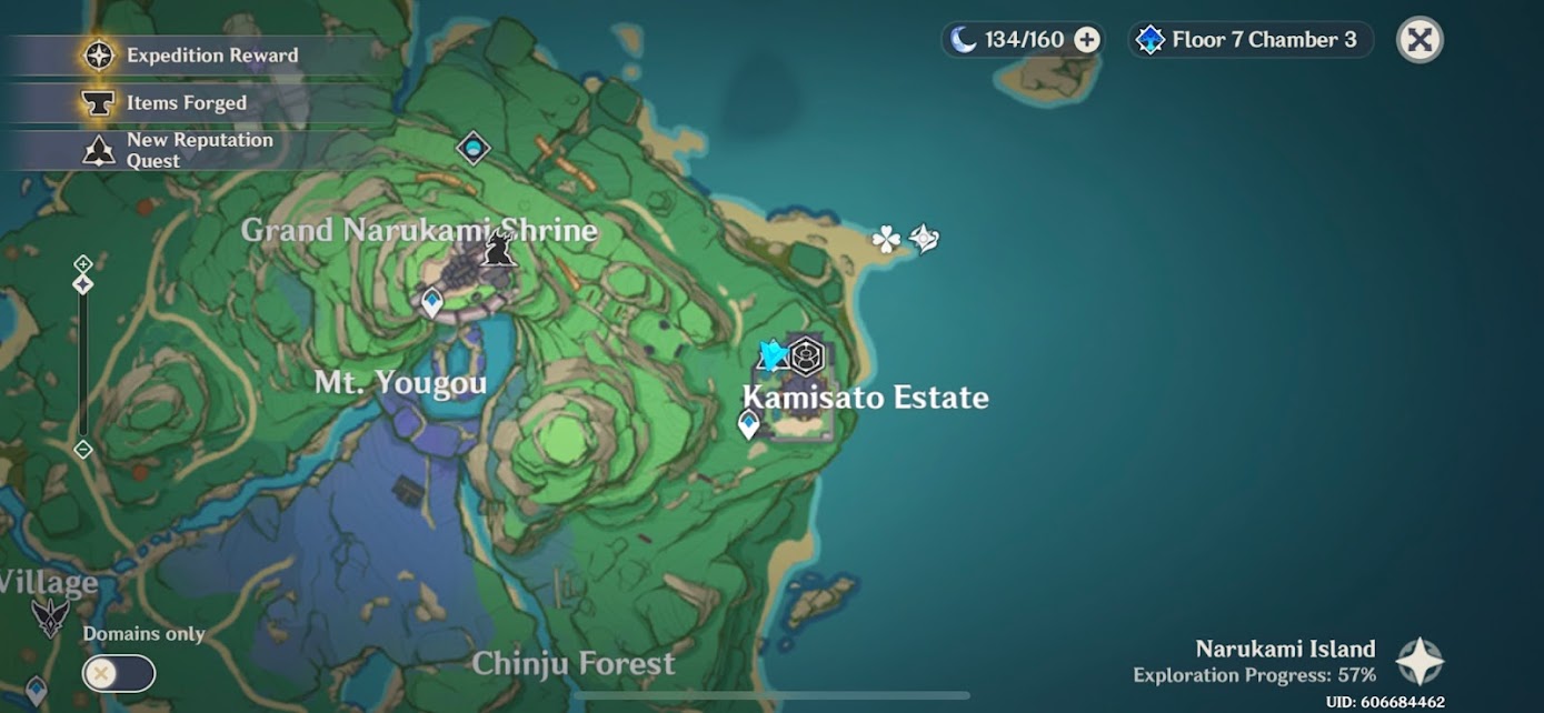 Genshin Impact Stone Slate Map