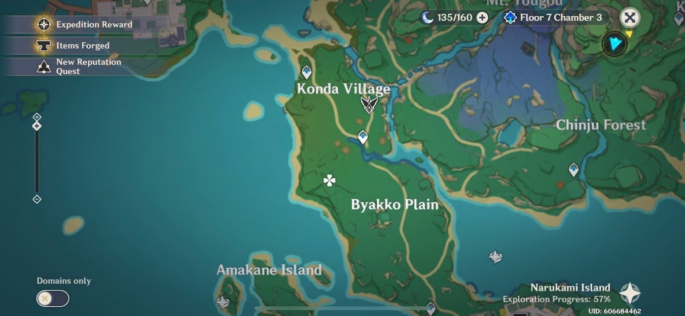 Genshin Impact Stone Slate Map