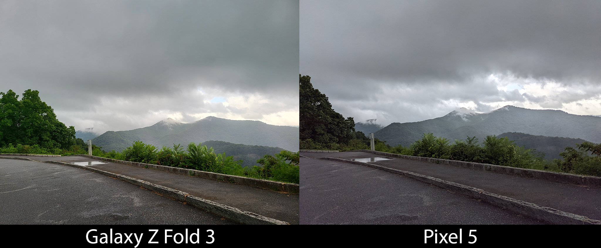 Camera Compare Z Fold 3 Pixel 5 Day