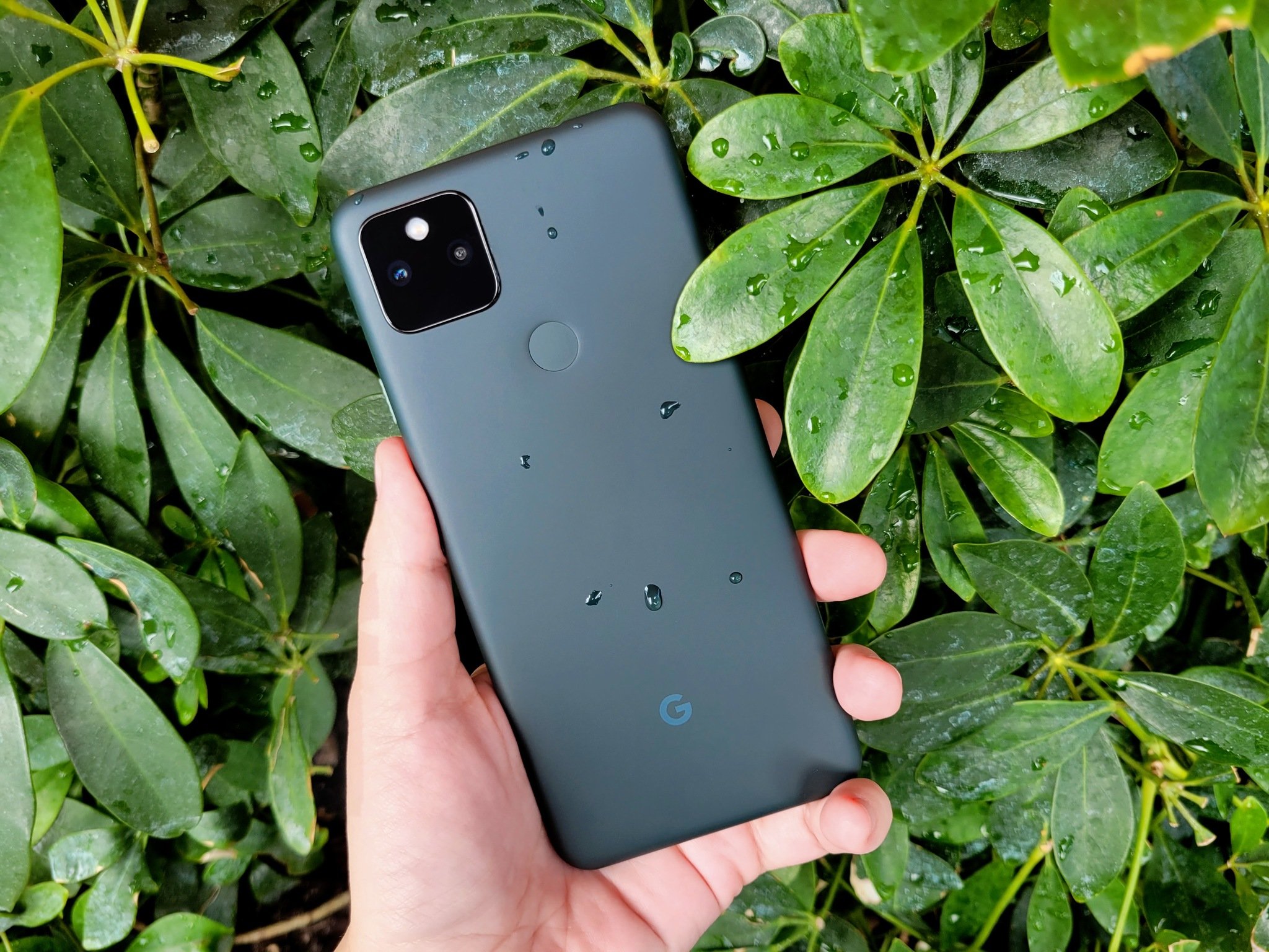 Pixel January update contains bug fixes, but Pixel 6 is excluded