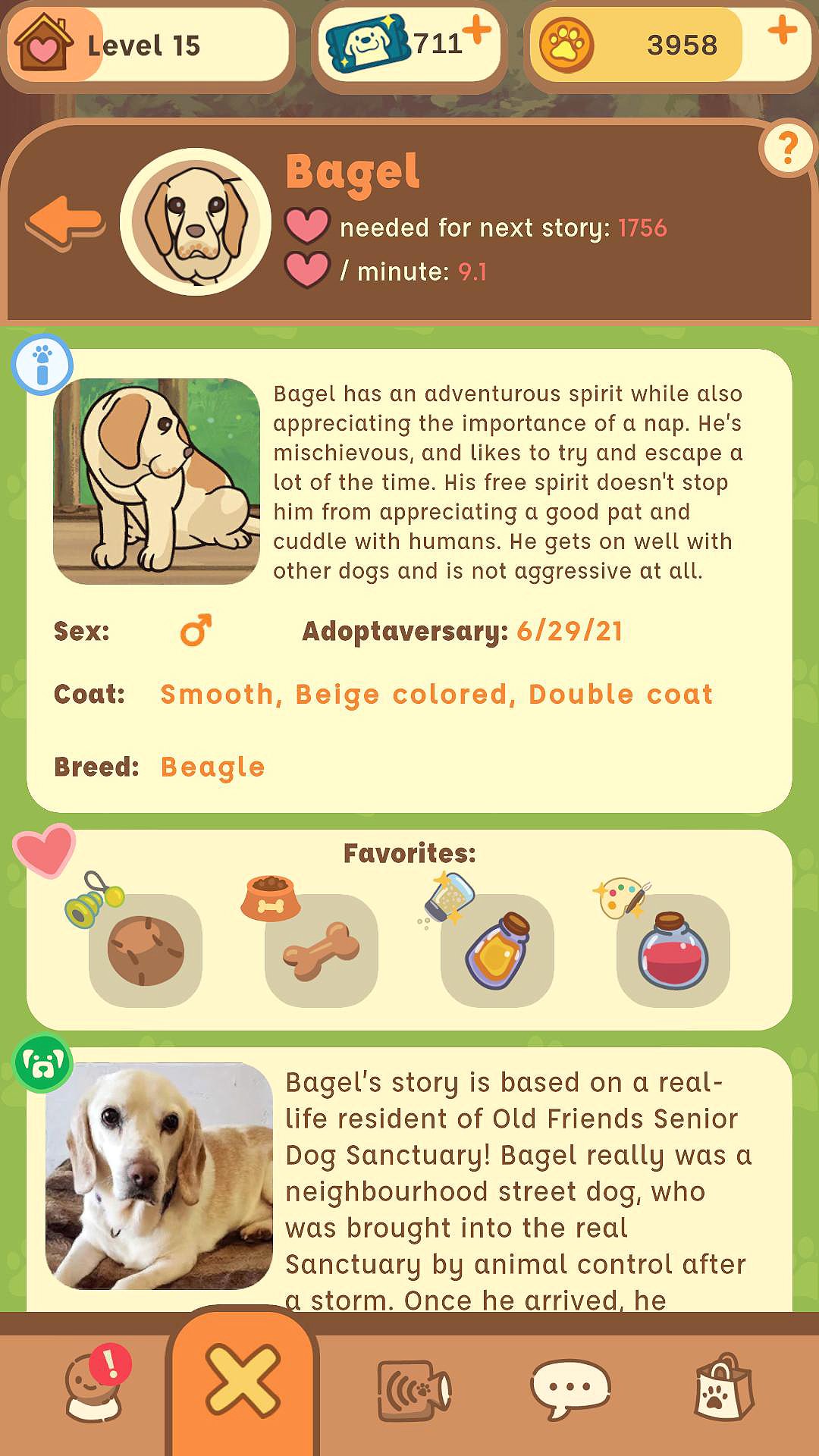 Old Friends Dog Game Bagel About Page