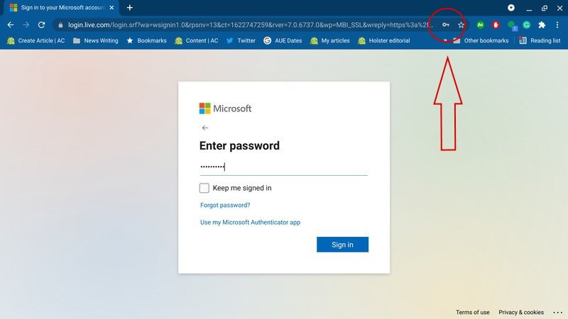 How To Add Google Passwords Chrome 2