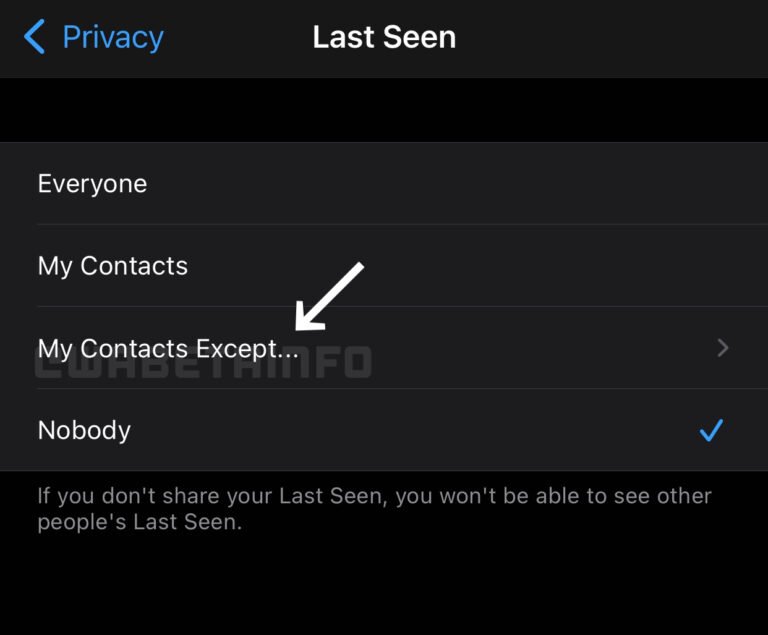 Whatsapp Privacy Settings Update