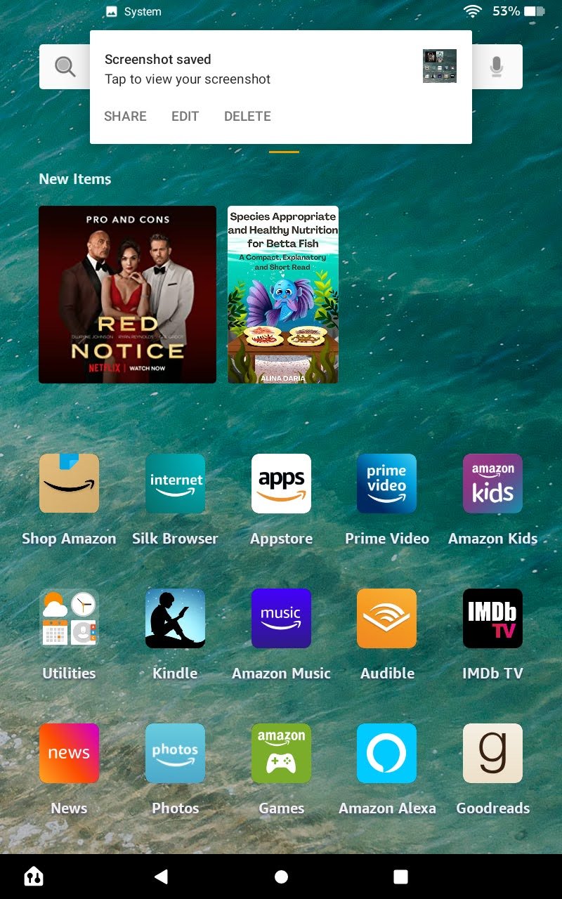 Amazon Fire Tablet Screenshot
