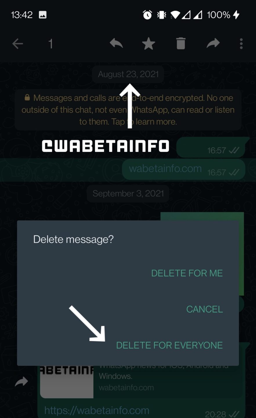 Extensão Whatsapp Delete para todos