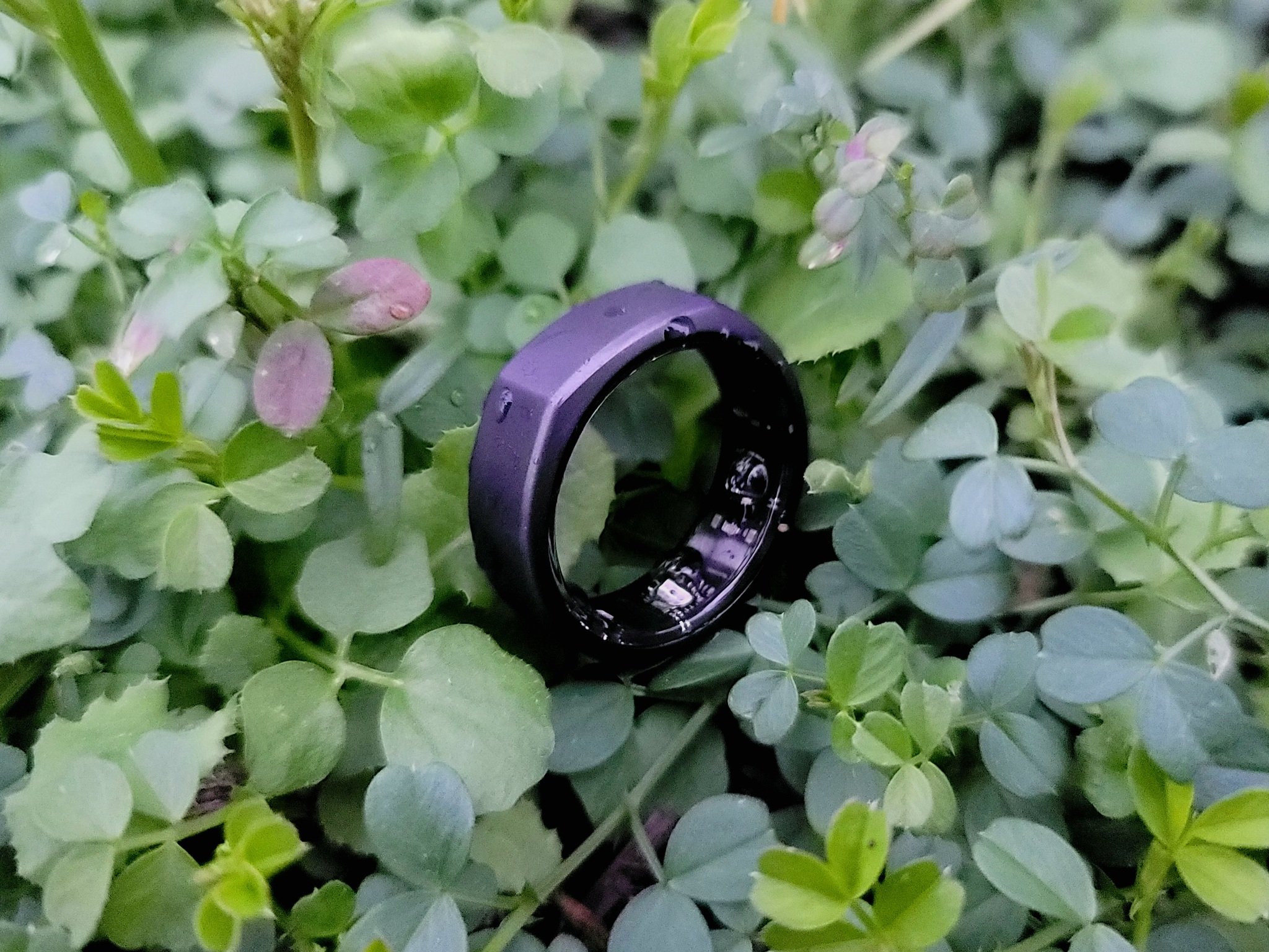 Oura Ring Gen 3 Lifestyle