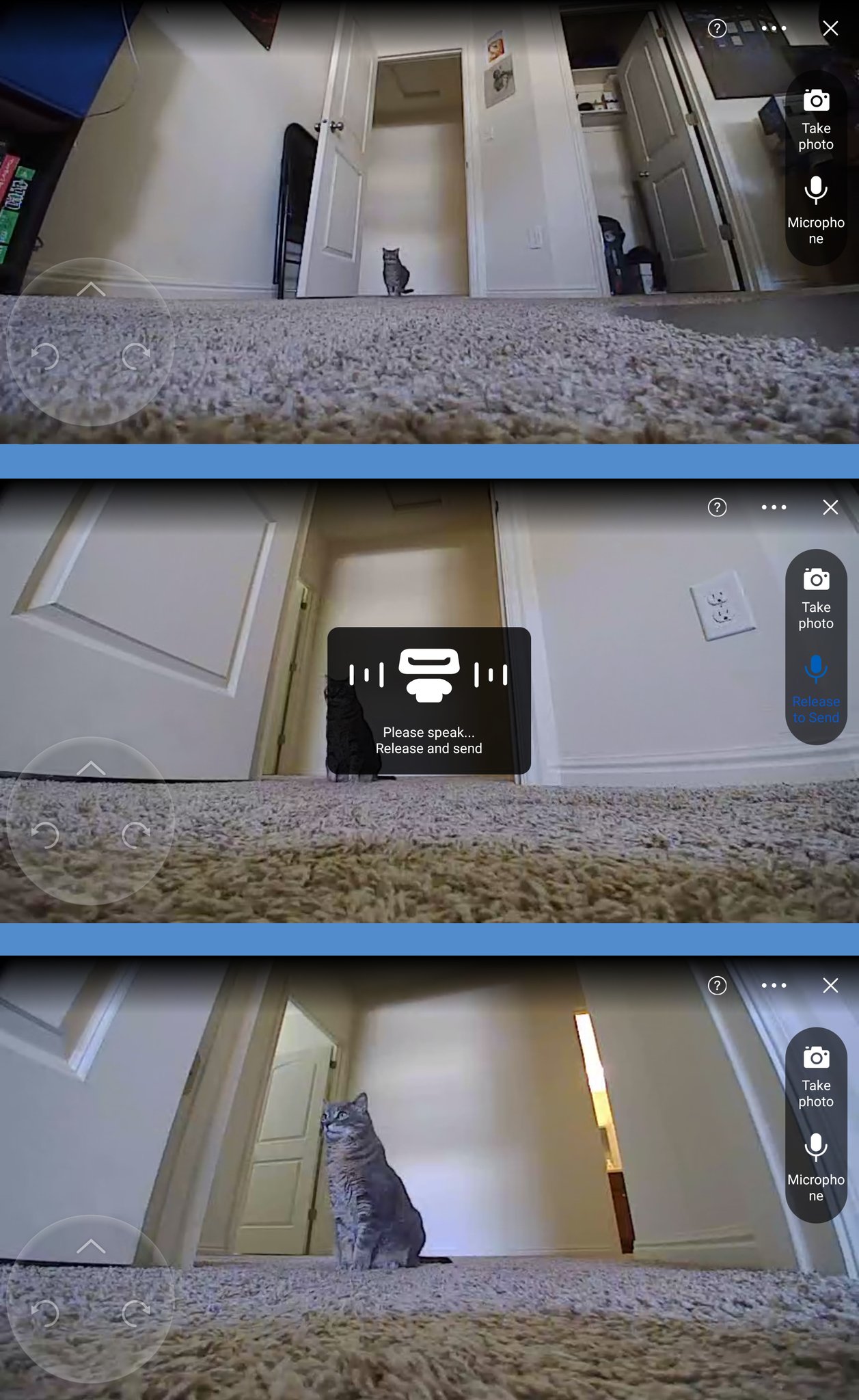 Ecovacs Deebot Ozmo T8 Aivi App following cat with camera