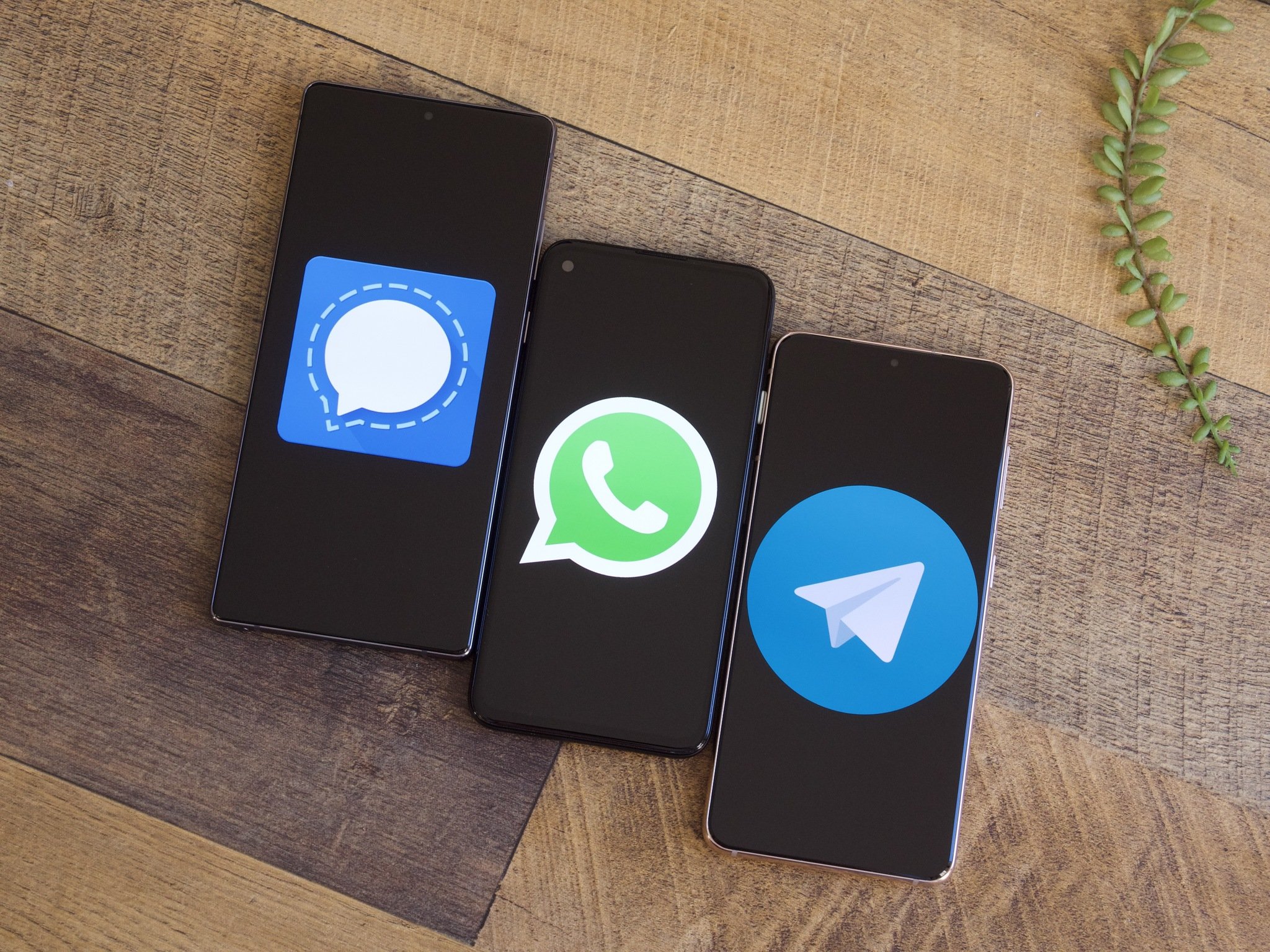 Signal, WhatsApp, and Telegram logos on Android phones