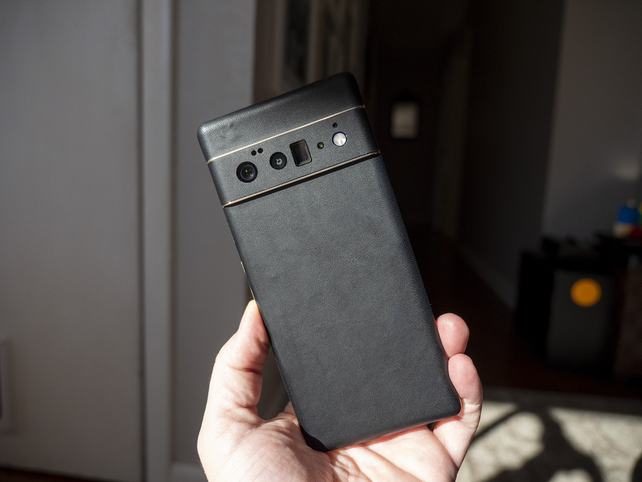 Dbrand Leather Skins Pixel 6 Pro Hold