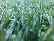 Grass Macro