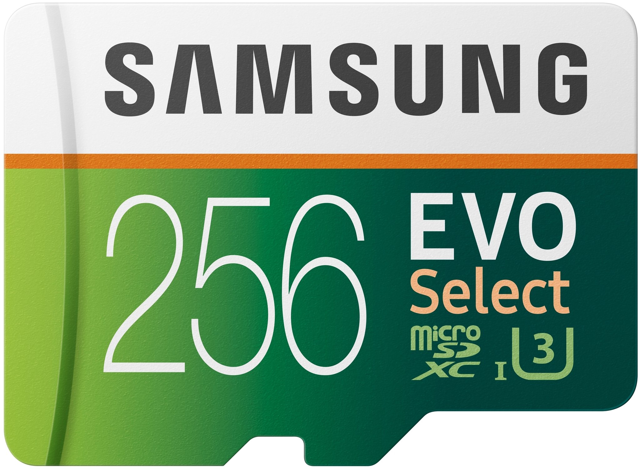 Samsung Evo 256 Gb