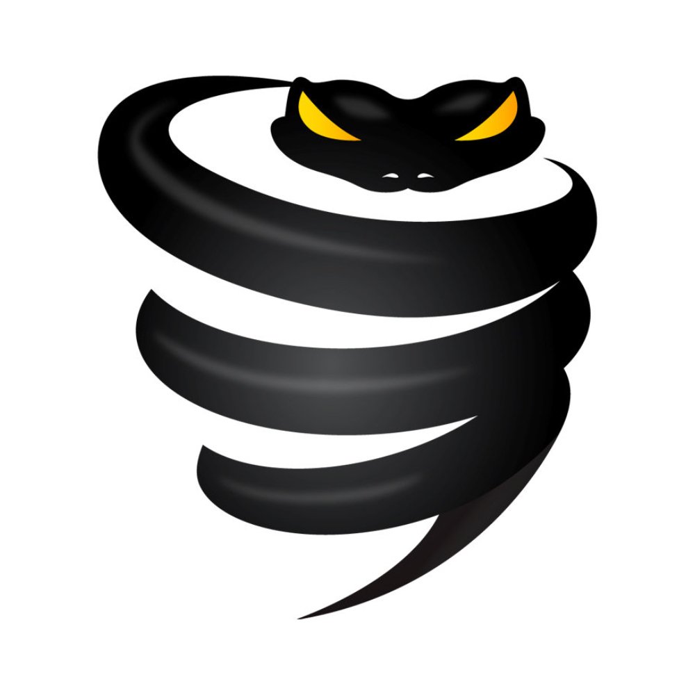 Vyprvpn Logo