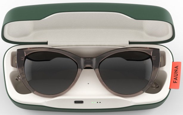 Fauna Audio Glasses with Case