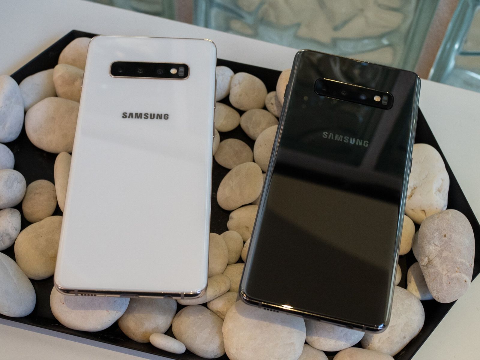 THE BLACK BEAST Samsung S10 Case
