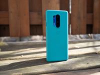 Keep the big, beautiful OnePlus 8 Pro big and beautiful with a case