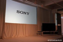 Sony set to trim down sales targets once again