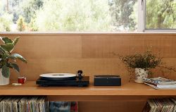 Sonos Amp vs. Amazon Echo Link Amp: Which should you buy?