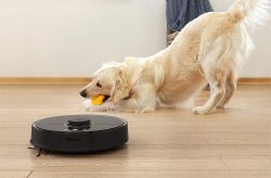 How to help your pets live with your robot vacuum