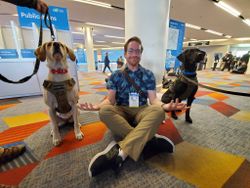 CES 2020 had so many good dogs — these are the best ones