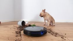 This robotic vacuum may well be the best under $300