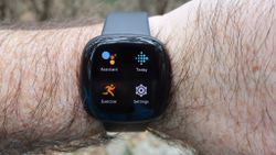 Use Google Assistant on your Fitbit smartwatch for on-the-go assistance