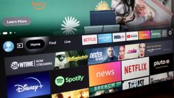 Here's how to clear app cache on Amazon Fire TV