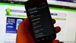 Google confirms Nexus S Jelly Bean roll-out, lists carriers
