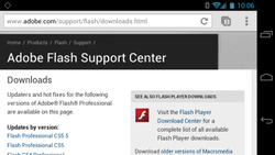 Late-nite poll: Is no Flash on Chrome a non-starter?