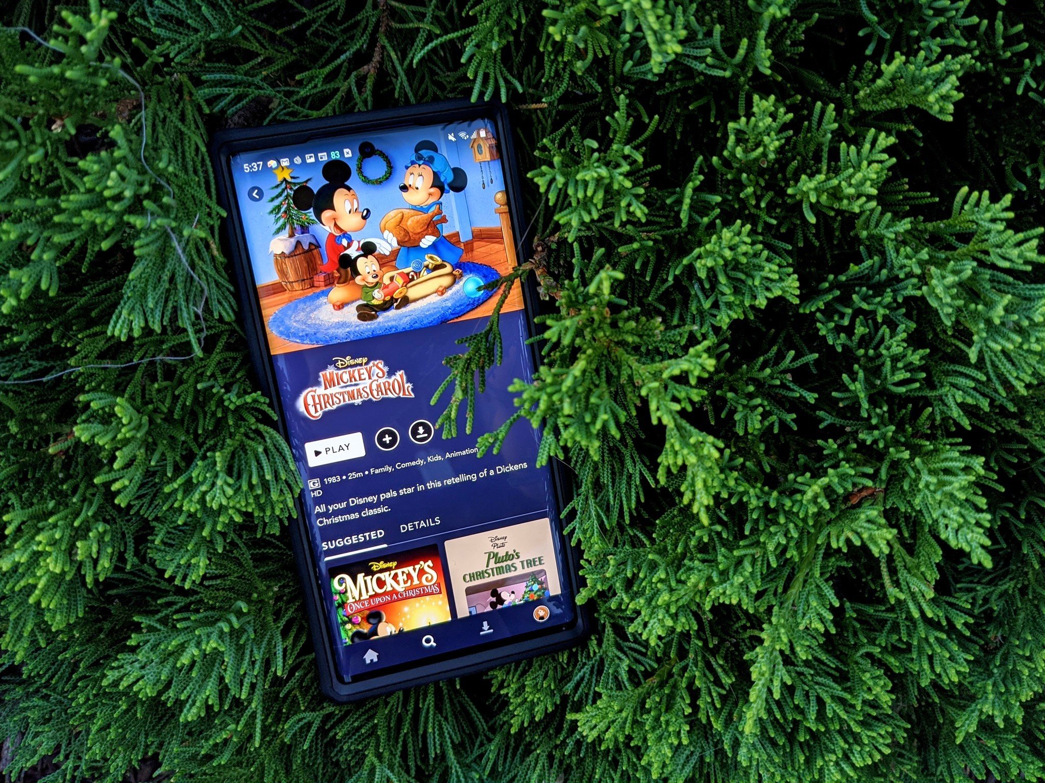You Can Now Give The Gift Of Disney Plus Without Having To Go To